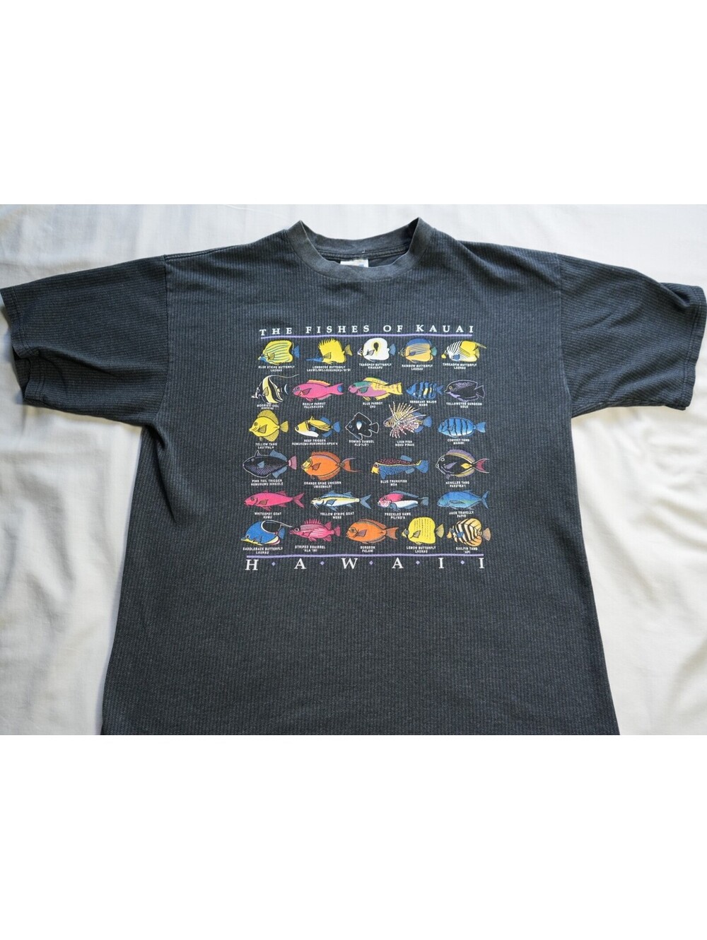 Fishes Of Kawaii Hawaii Vintage Graphic T-Shirt, VTG 90s-2000s Double Stitch Tee